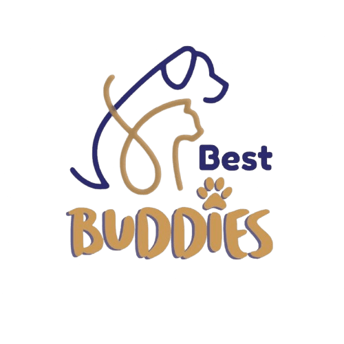 Best Buddies