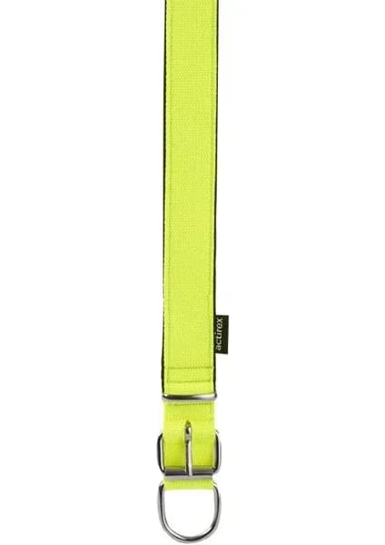 Wide profile webbing collar thumbnail 3