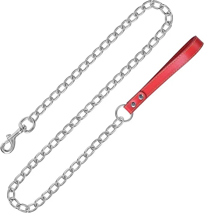 Chain Leash - Image 1