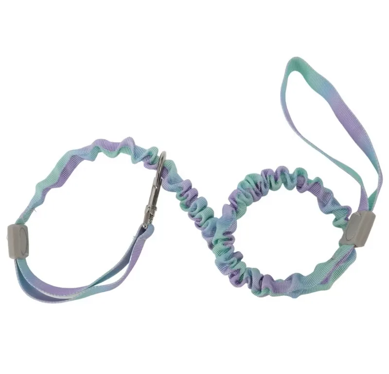 Bungee Leash - Image 1