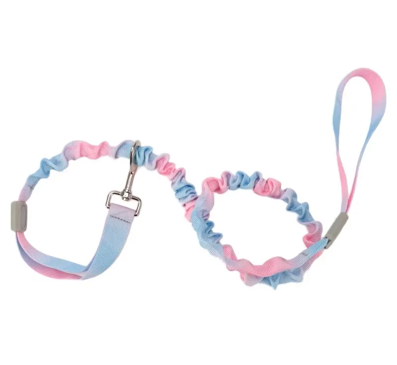 Bungee Leash - Image 1