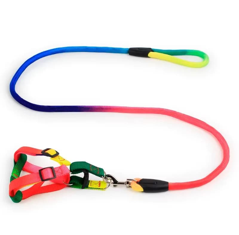 Rainbow leash - Image 1