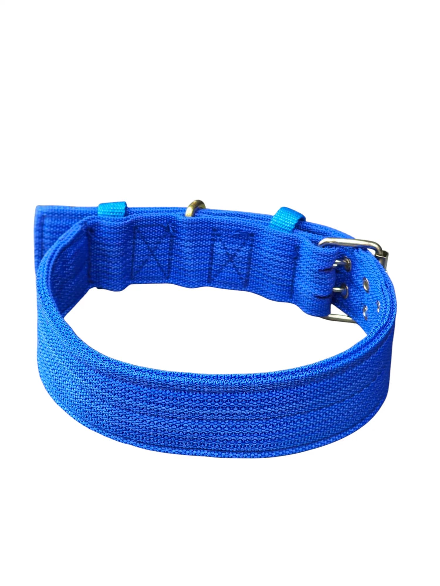 Wide profile webbing collar - blue - Image 1