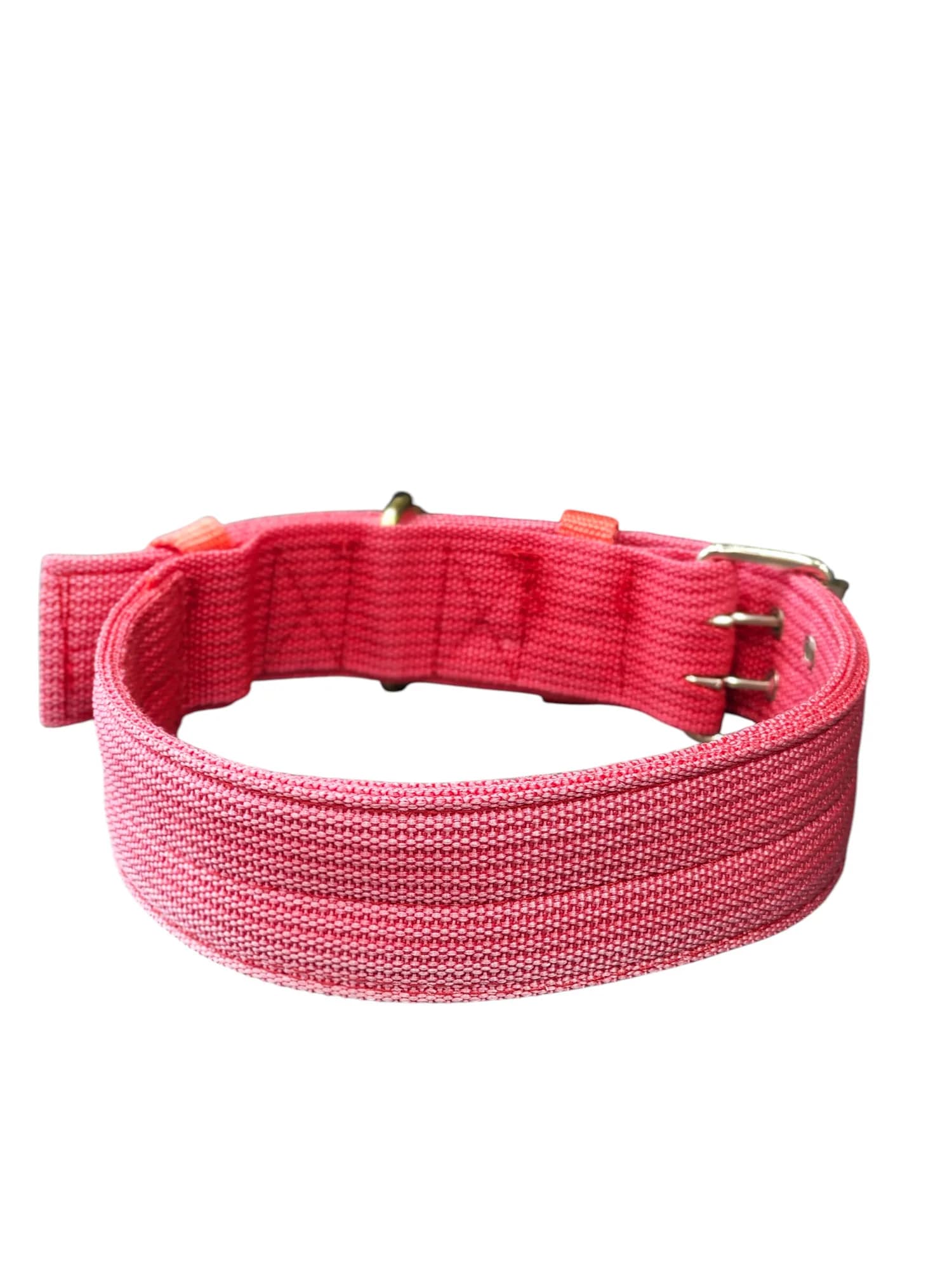 Wide profile webbing collar - red - Image 1